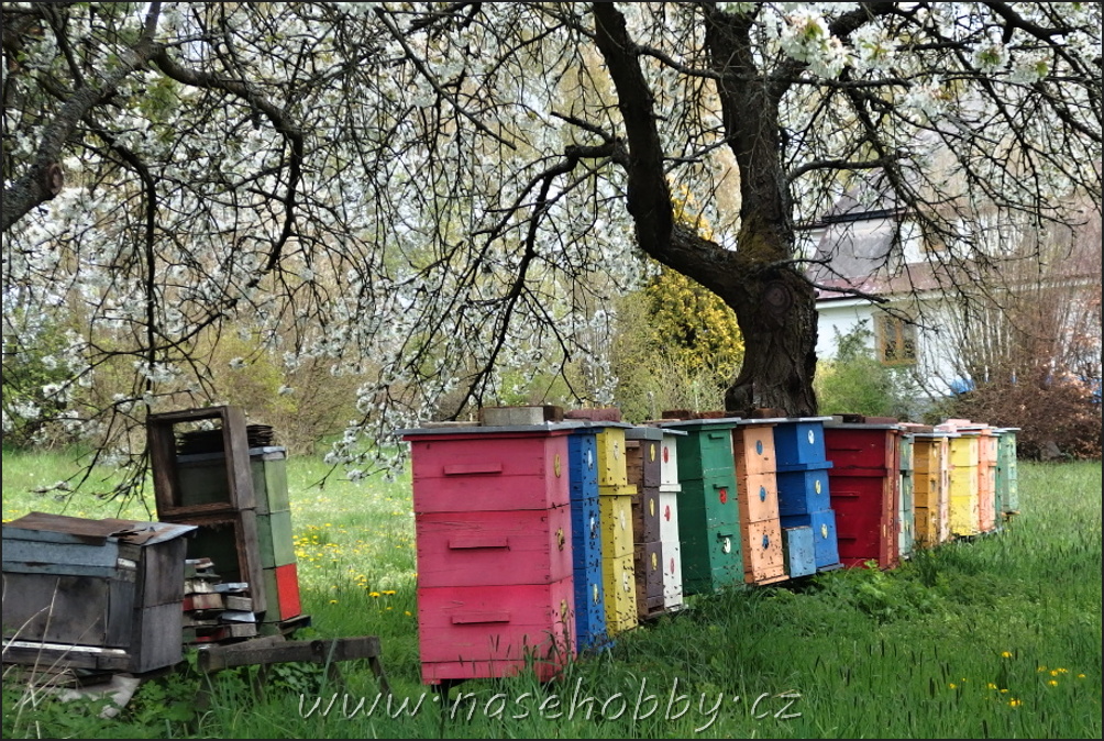 barevné včelí úly